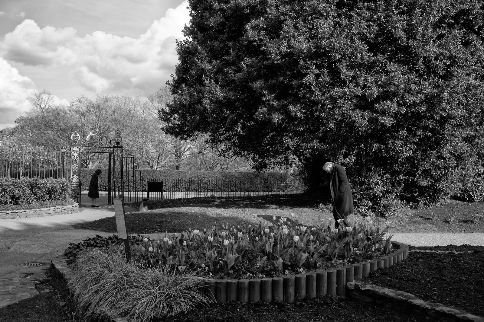 A Thousand Word Photos