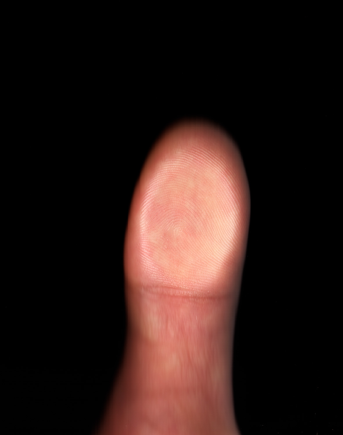 Personal Project